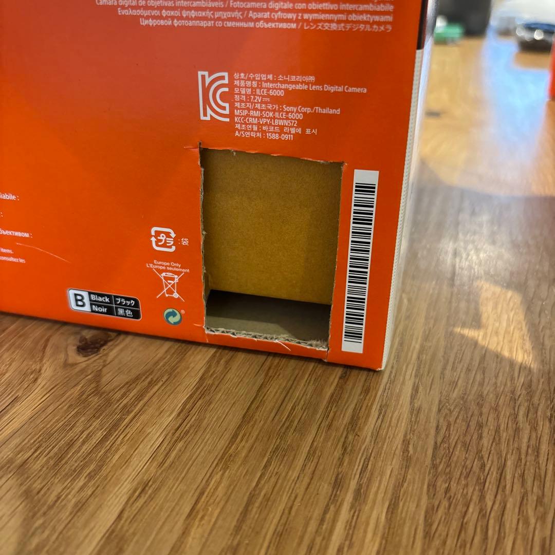 SONY α6000 ILCE-6000Y ダブルズームレンズキット