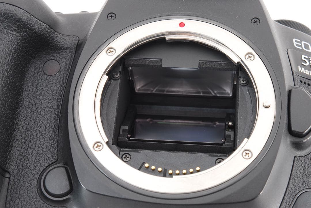 Canon EOS 5D Mark IV/Canon EF50㎜F1.8 STM
