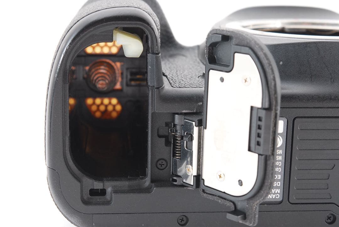 Canon EOS 5D Mark IV/Canon EF50㎜F1.8 STM