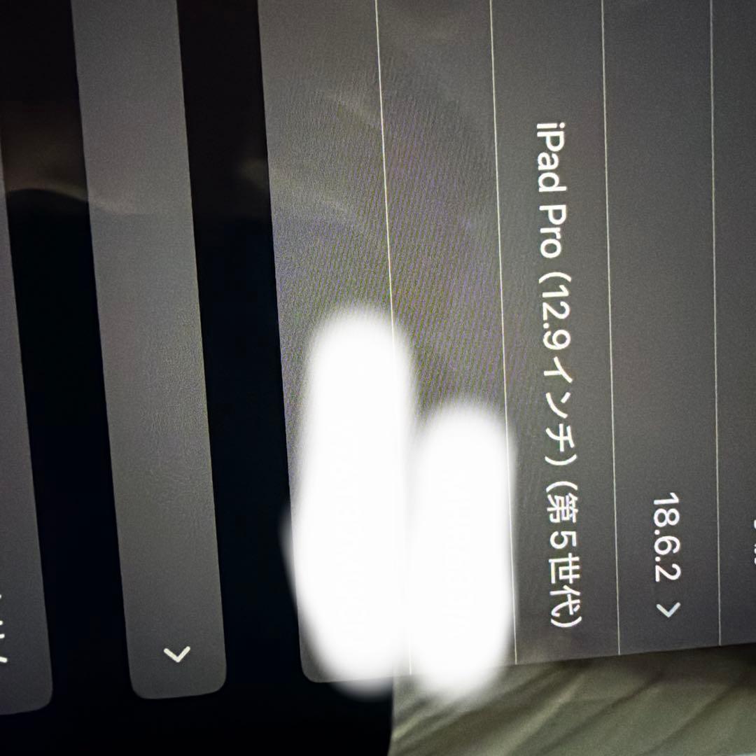 iPad Pro12.9 第5世代 セルラー