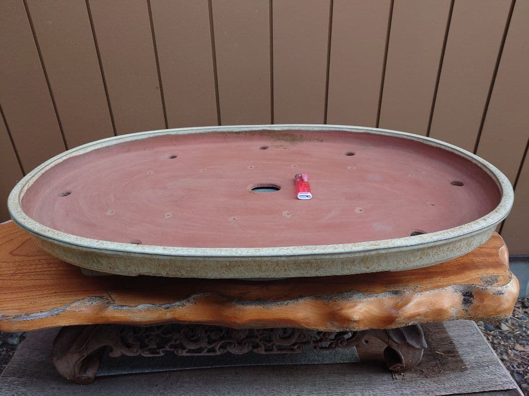 盆栽　鉢　緑巳斉春松　幅77cm