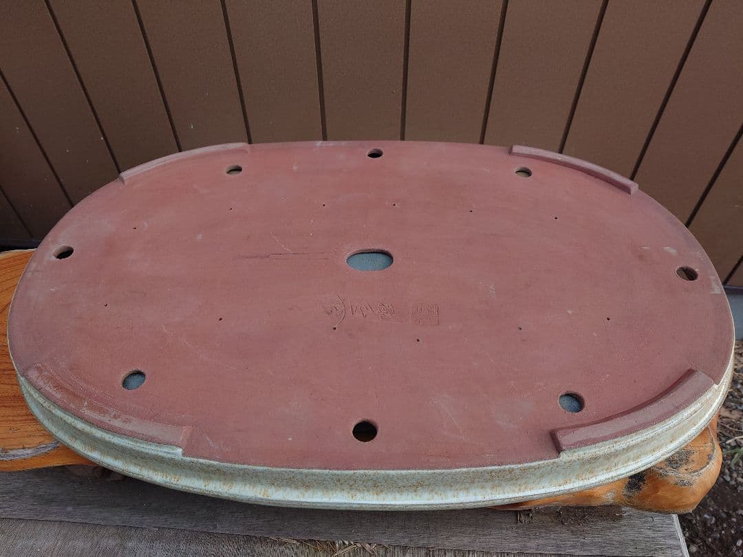 盆栽　鉢　緑巳斉春松　幅77cm