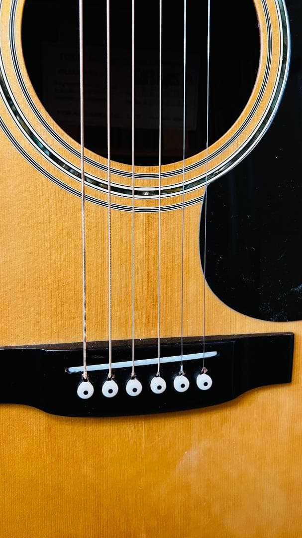 【値下中】東海楽器 Cat's eyes CE-450E 状態良