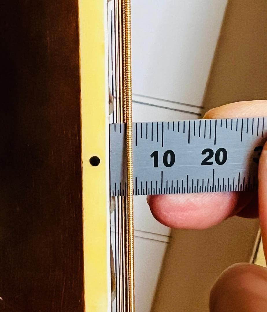 【値下中】東海楽器 Cat's eyes CE-450E 状態良