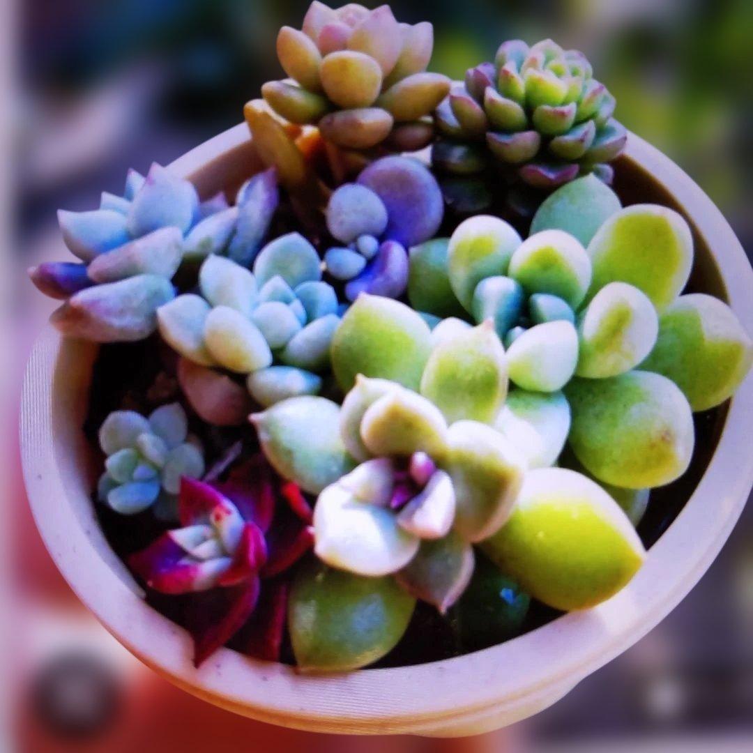 アサ様 リクエスト 5点 まとめ商品