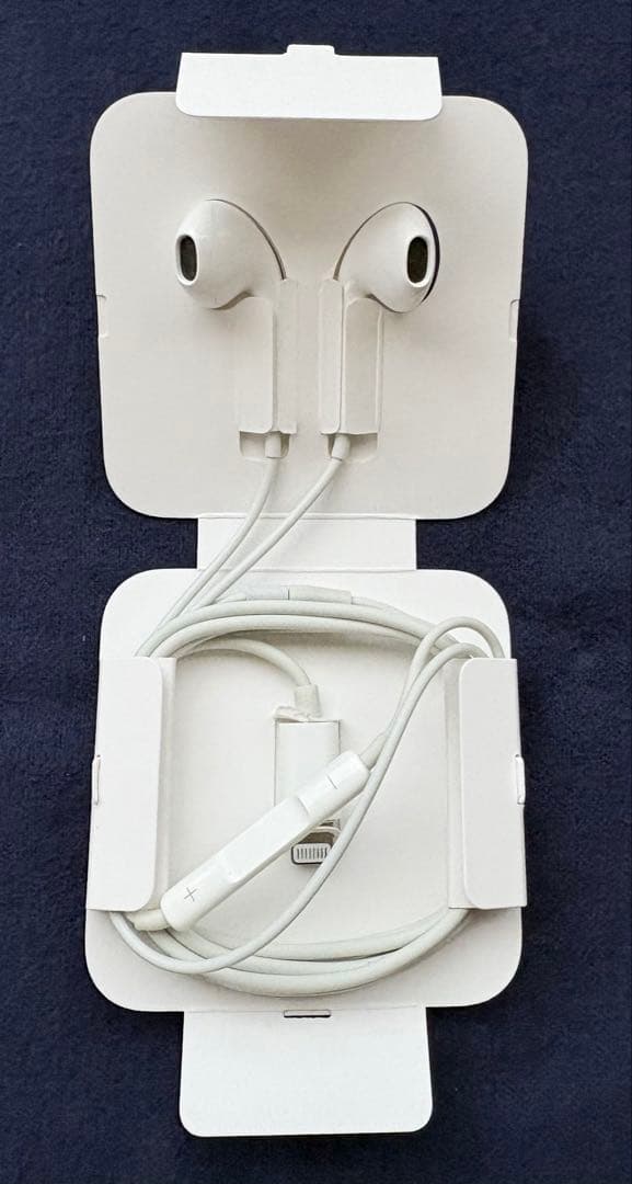 iPhone SE2 第2世代 レッド 64GB純正電池90% 箱イヤホン他付属