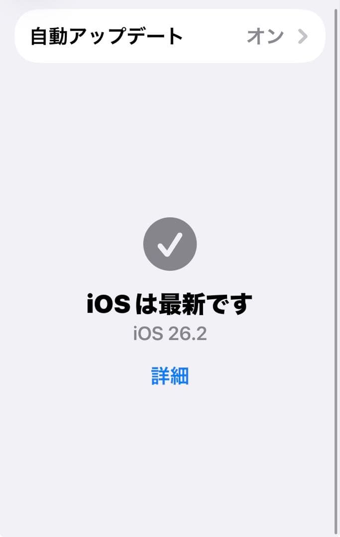 iPhone SE2 第2世代 レッド 64GB純正電池90% 箱イヤホン他付属