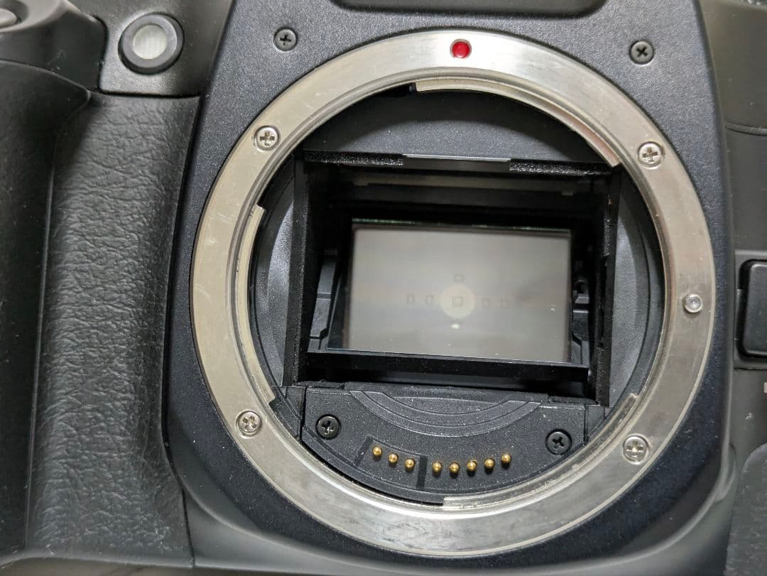 【タンパクボーイ】Canon　EOS 7