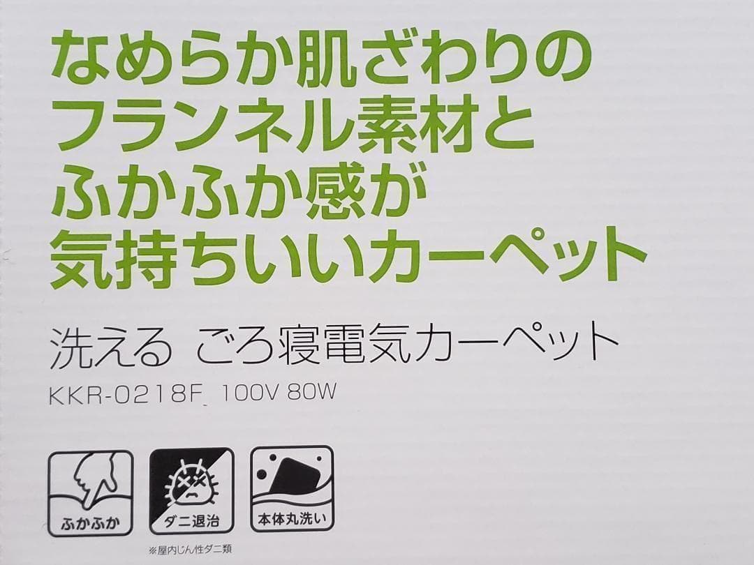 ⭐限定割引セット・ごろ寝電気カーペット＆電気ミニマットセット