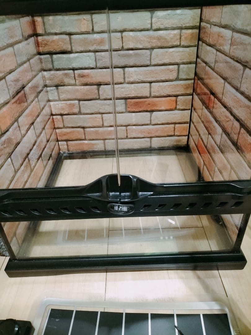 爬虫類ゲージセット