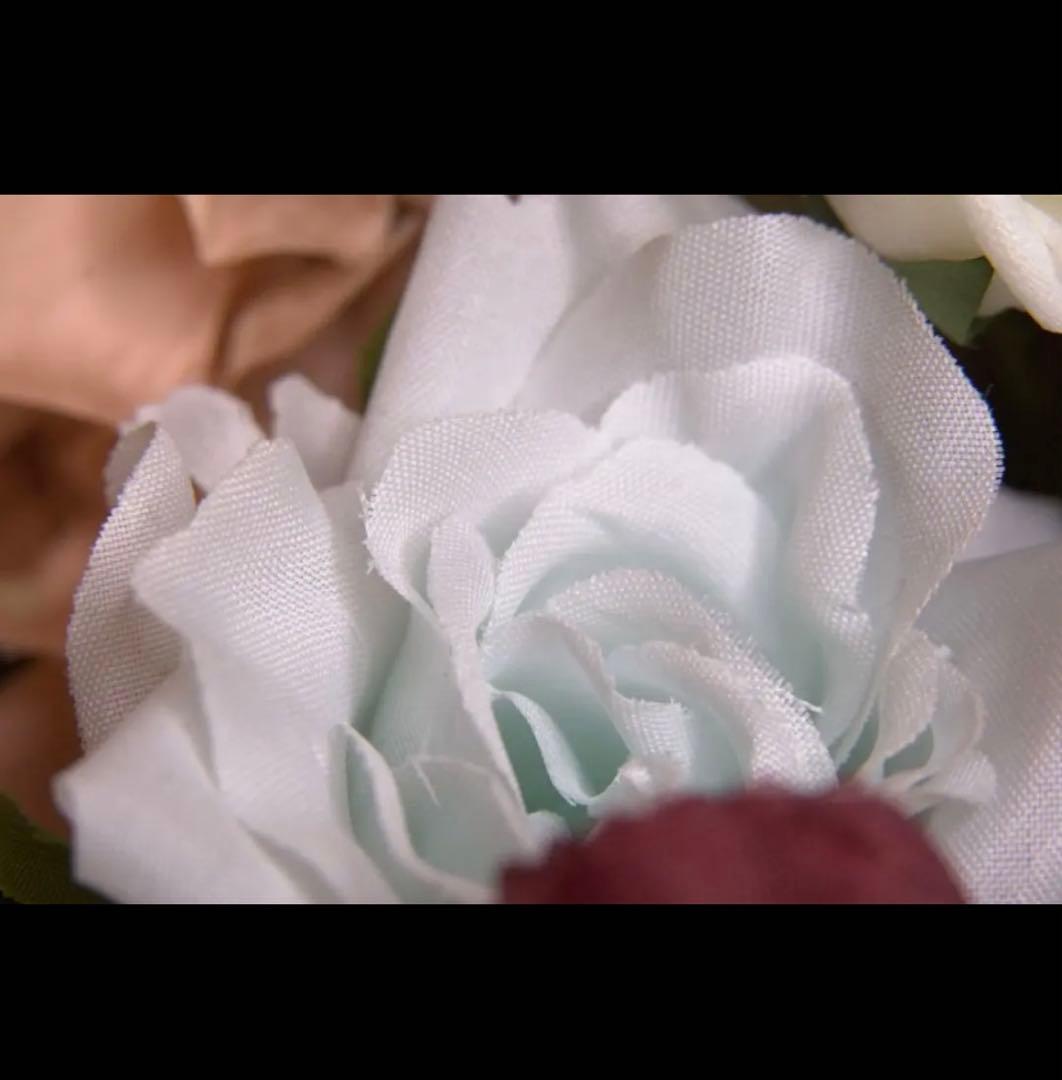 高画質！マクロレンズに変換できる！？リング！SONYミラーレスカメラ対応！黒！