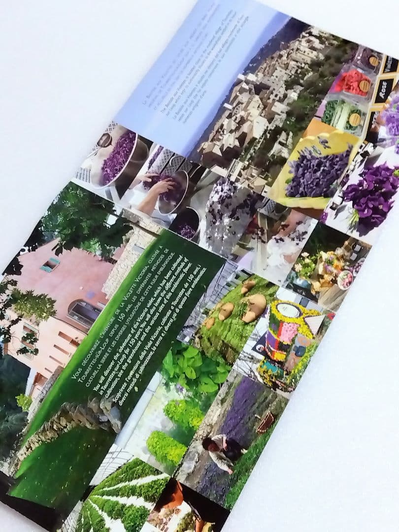 〈未開封品〉フランス スミレ博物館 エプロン＋博物館パンフレット