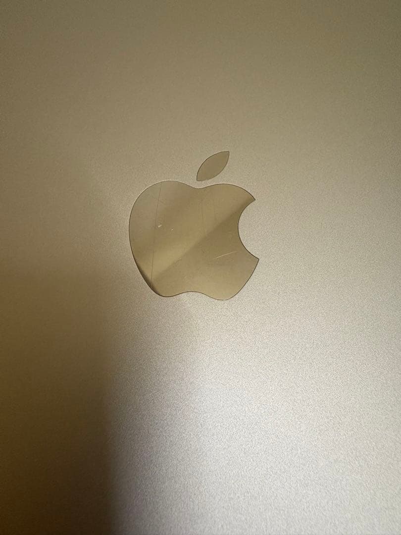 Apple iPad 10.2インチ シルバー A2198 (第7世代)