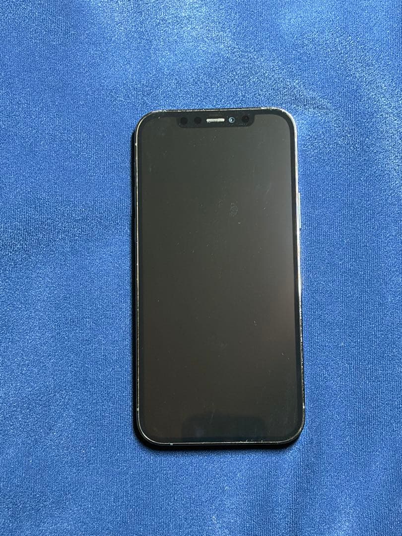 Apple iPhone12Pro 256GB パシフィックブルー　SIMフリー