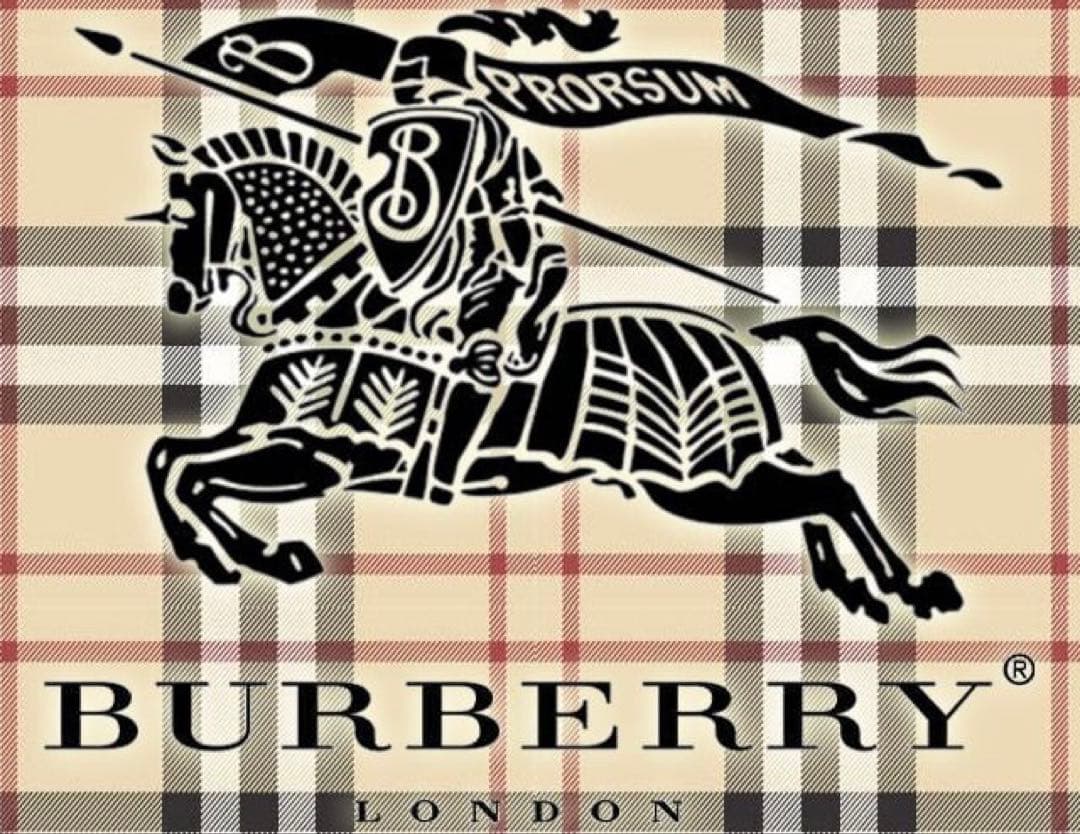 人気‼️バーバリー ノバチェック柄 ショルダーバッグ レザー 牛革 高品質 美品✨