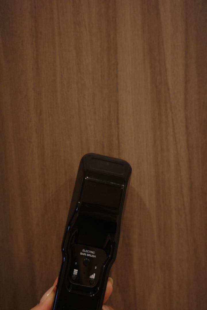 電気バリブラシ