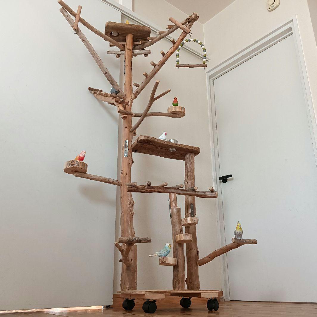 鳥羽 バードアスレチックジム大型 天然木 自然木 流木 インコ おもちゃ