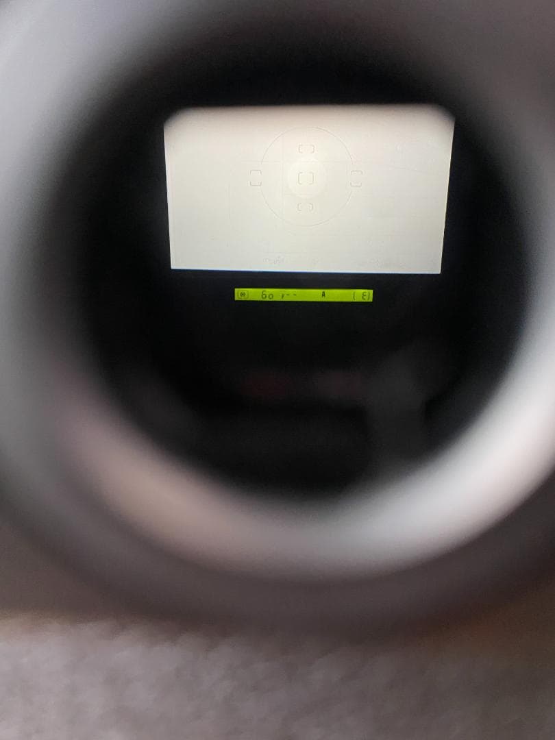 フィルムカメラ Nikon F5 &AF NIKKOR 24-50mm F3.3-4.5D