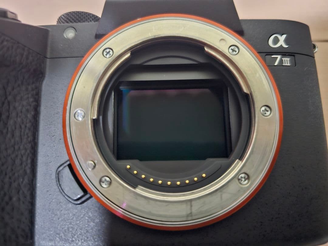 SONY α7 III ミラーレス一眼 SIGMAレンズセット