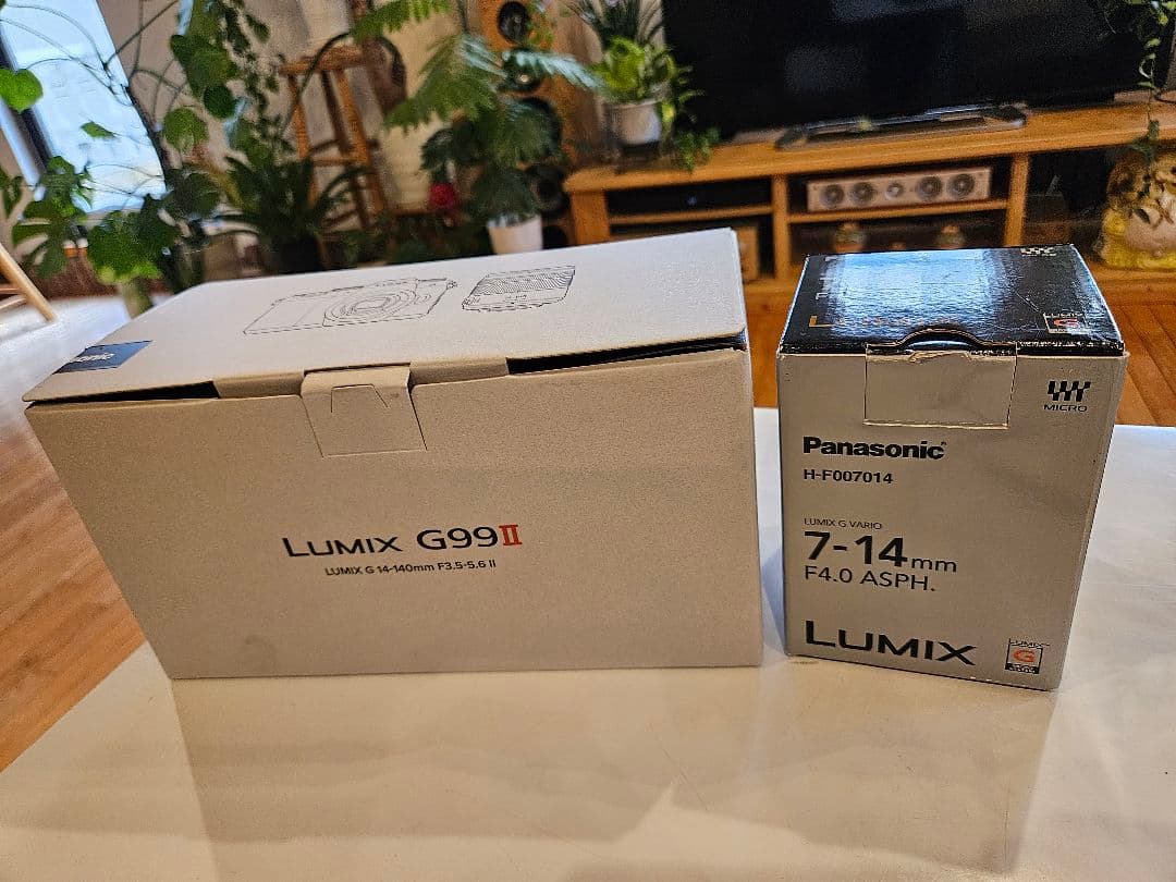 【超美品　豪華セット】LUMIX G99M2 標準ズーム&超広角レンズ　他多数