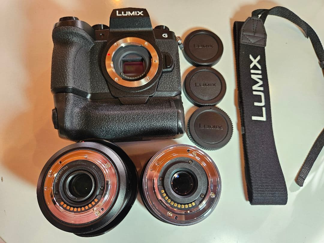 【超美品　豪華セット】LUMIX G99M2 標準ズーム&超広角レンズ　他多数