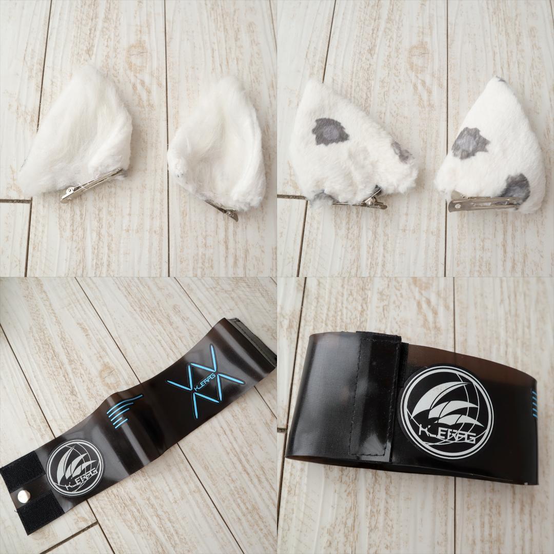 【難あり】　アークナイツ　シルバーアッシュ　衣装＋鳥（テンジン）＋ウィッグ　Ｍ