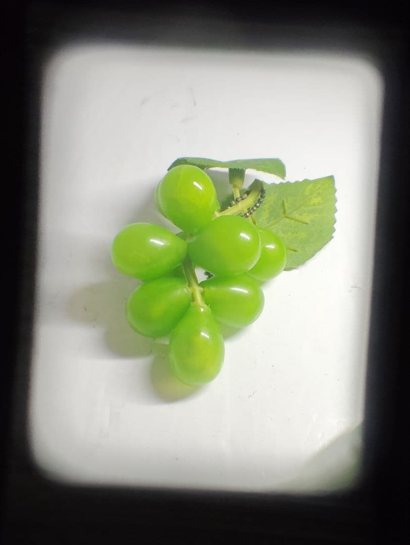 OLYMPUS PEN EED（動作品）