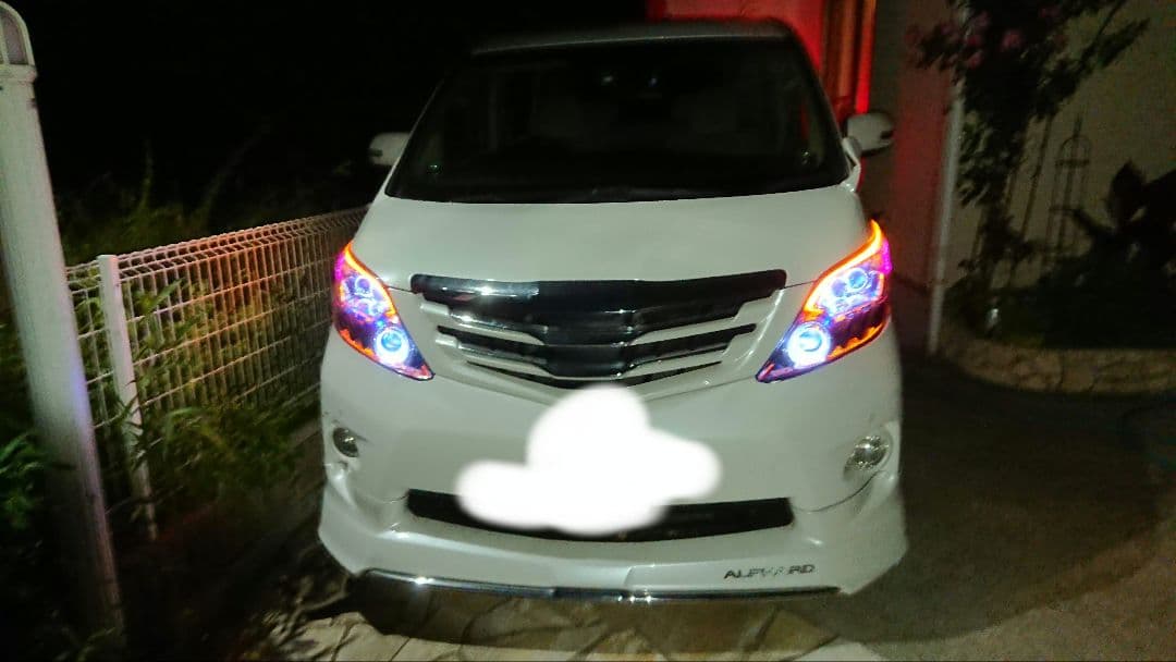 青木勇気様限定