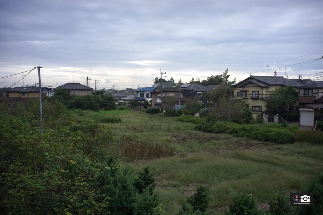 Leica Summaron 3.5cm F3.5 L39 1955年、整備済