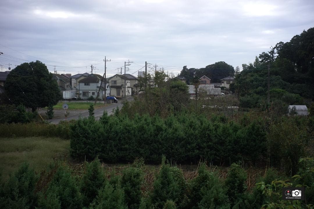 Leica Summaron 3.5cm F3.5 L39 1955年、整備済