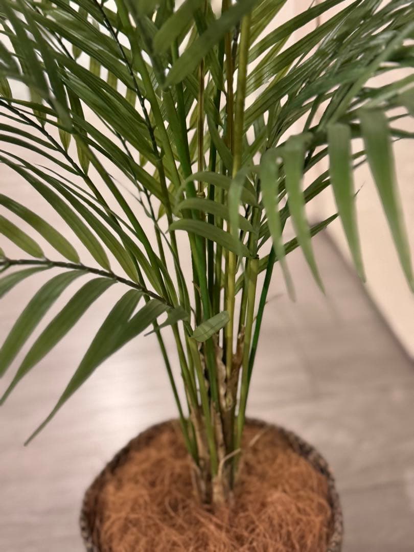 Prima フェイクグリーン 観葉植物 アレカヤシ