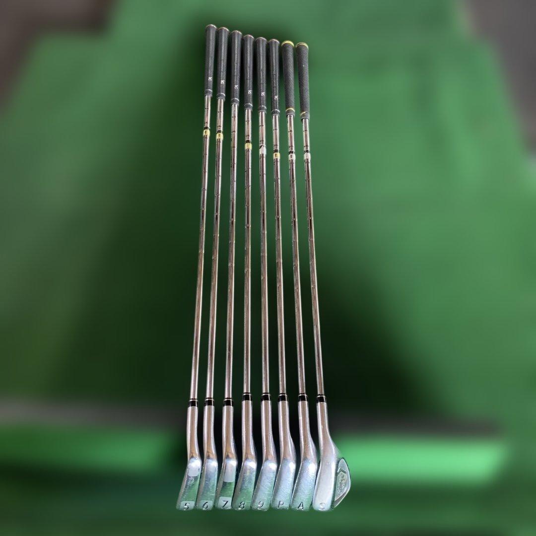 Titleist VG3 アイアンセット 8本5-9 PAS DG Ｓ200