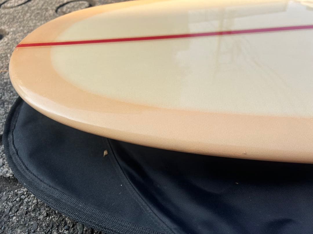 Joel Tudor 9’4 Spring Field / スプリングフィールド