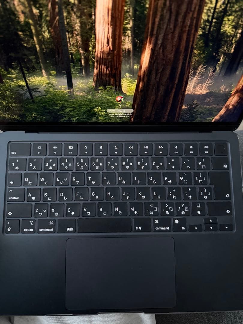 MacBook Air 13.6インチ M2 8GB 256GB SSD