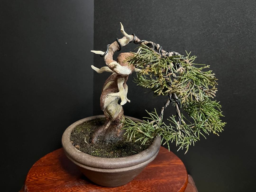 真柏盆栽　糸魚川真柏　古木　捻転シャリ　小品盆栽ミニ盆栽 樹高12cm 喜仙鉢