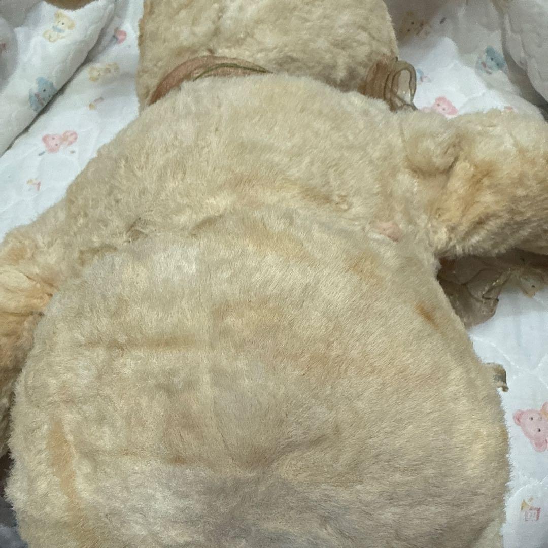 Rushtonラシュトンラバーフェイスベビーバニー