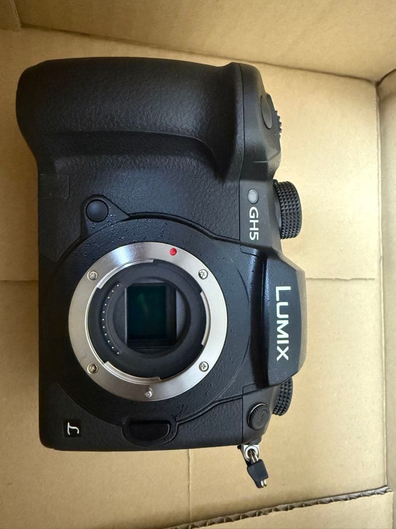 LUMIX GH5 レンズキット　カメラ保護ケース、予備電池１つ付き