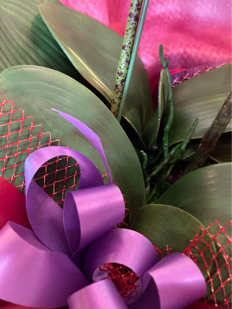 光触媒　人工観葉植物　ウォールグリーン　フェイクグリーン　胡蝶蘭リアル't