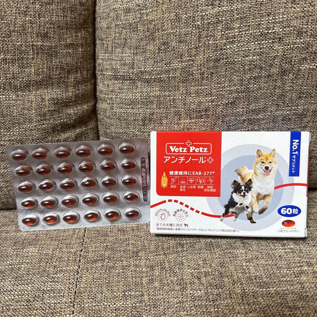正規品　Vetz Petz アンチノール 90粒