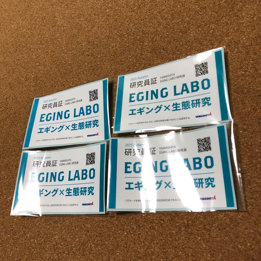ヤマシタ エギ王K エギングラボ ポラマジ虹 ポラマジメジナ ルアー エギ 餌木