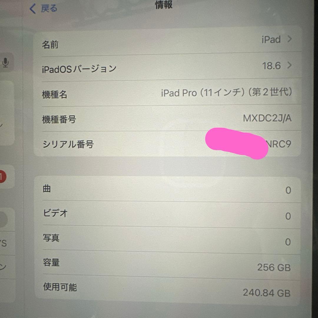 iPadPro(第2世代)11インチ 256GB +おまけ