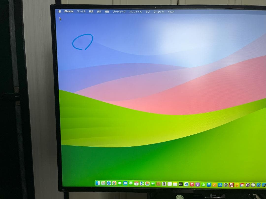 LG 42.5インチ 大画面IPS 4Kモニター / 43UD79-B