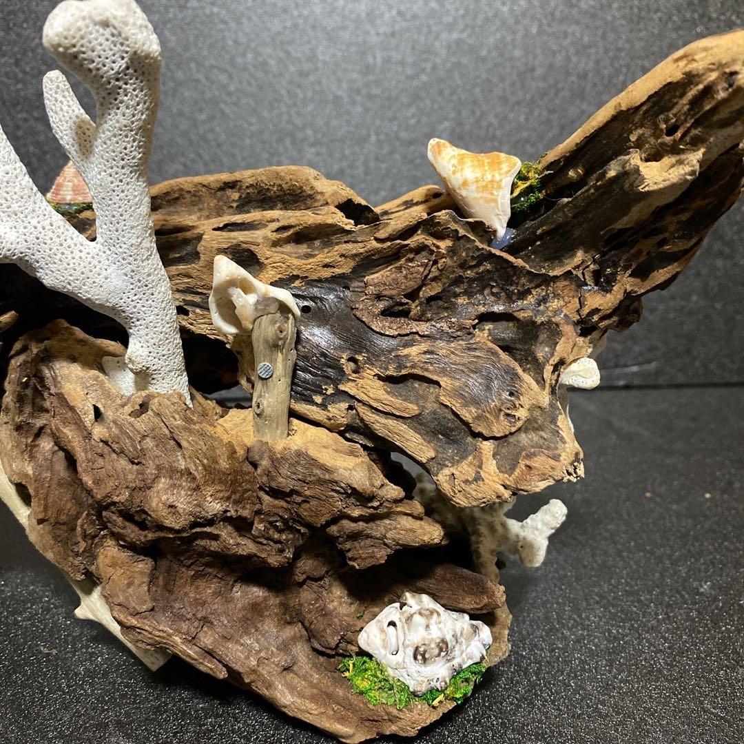 流木アート⚫︎ 恐竜 インテリア サンゴ 一点モノ