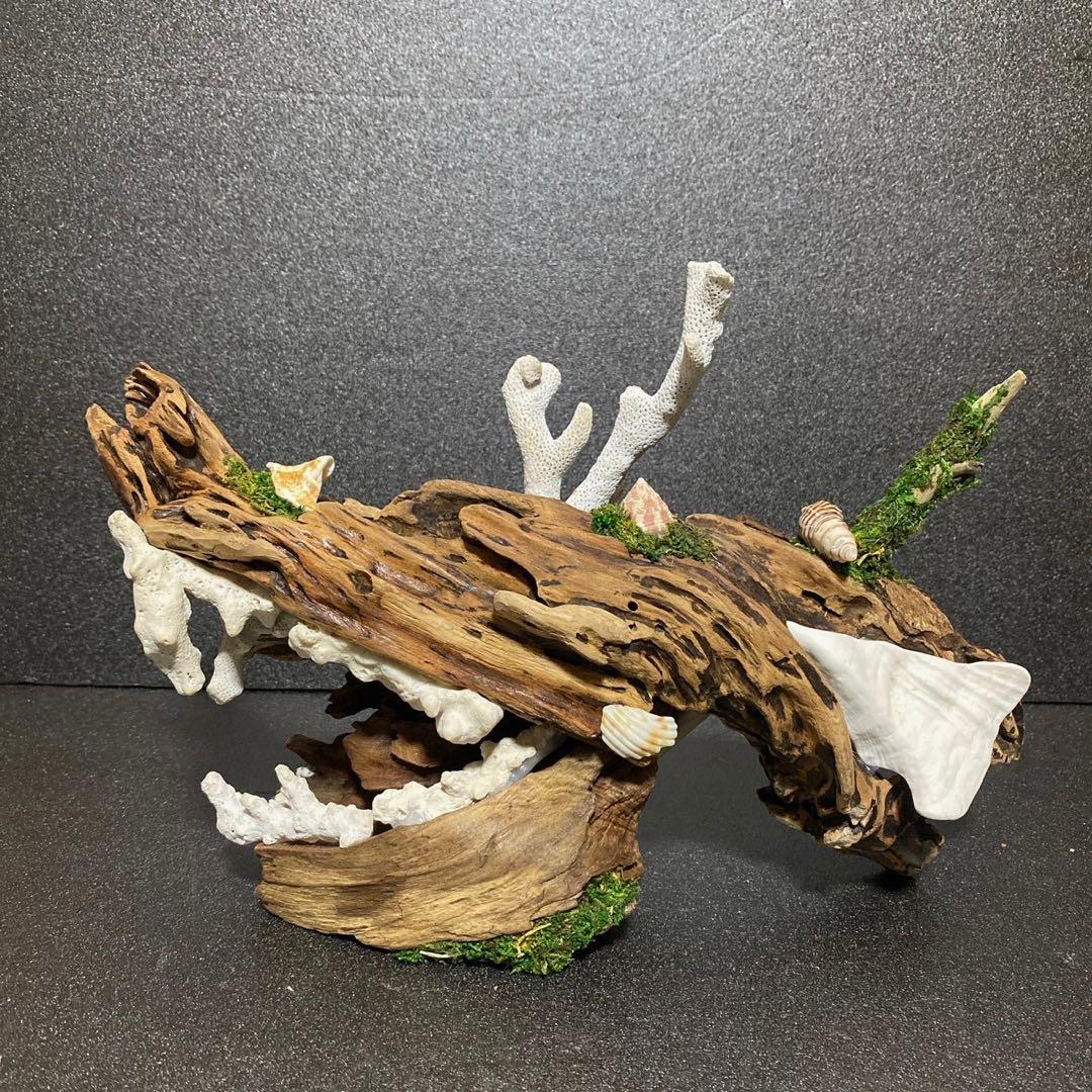 流木アート⚫︎ 恐竜 インテリア サンゴ 一点モノ