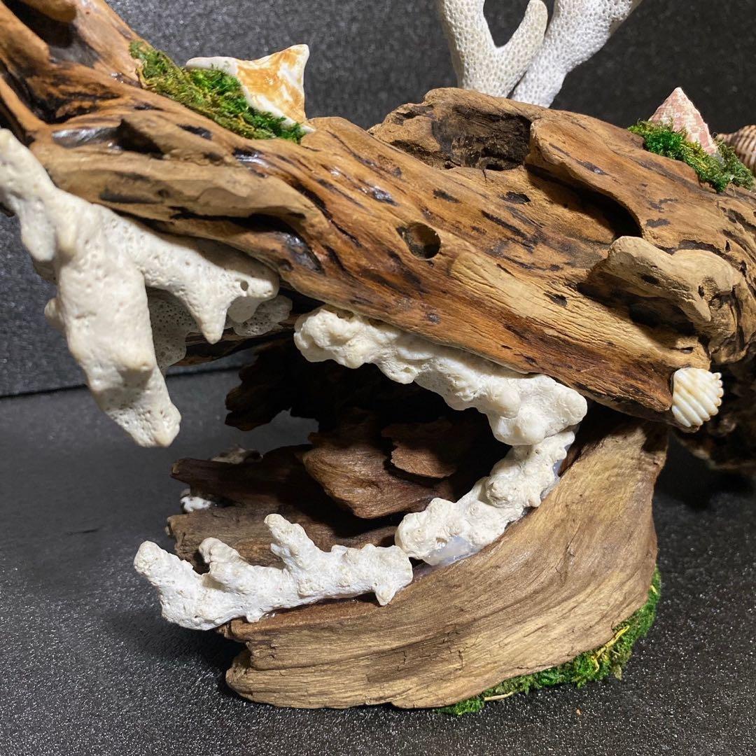 流木アート⚫︎ 恐竜 インテリア サンゴ 一点モノ