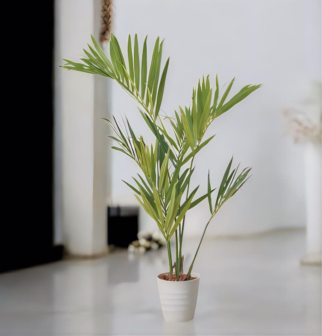 光触媒　人工観葉植物　ウォールグリーン　フェイクグリーン　ケンチャヤシポット15