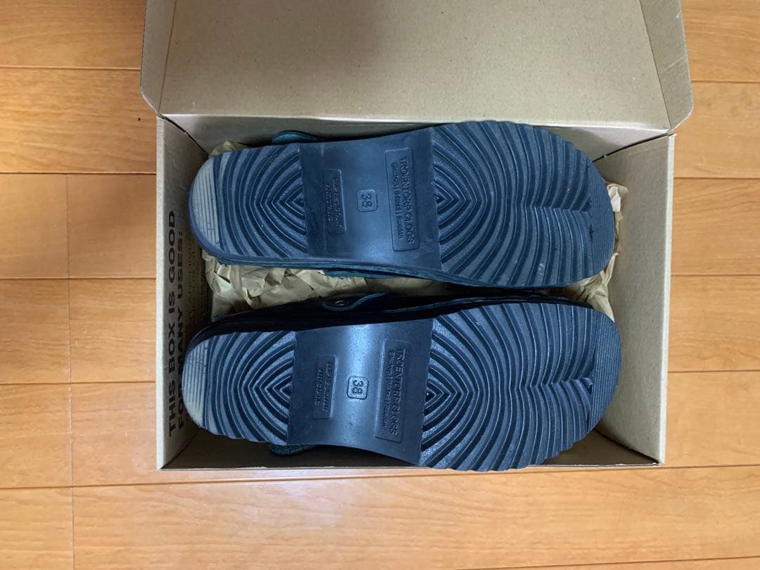 トロエントープ　ニードルス