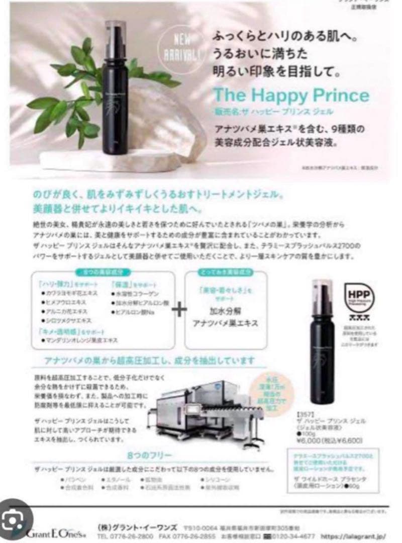 ボディ・フェイスケア TERAMEE SPLASH PULSE 2700