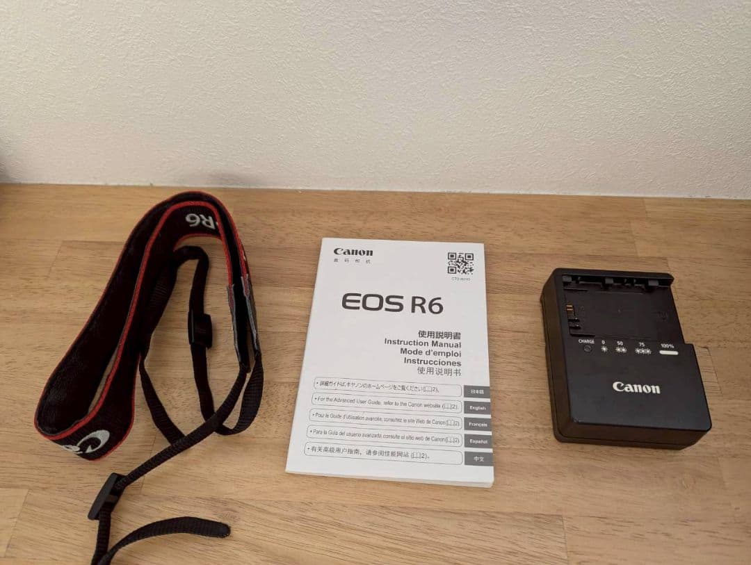 Canon EOS R6 ミラーレス一眼 本体とレンズセット