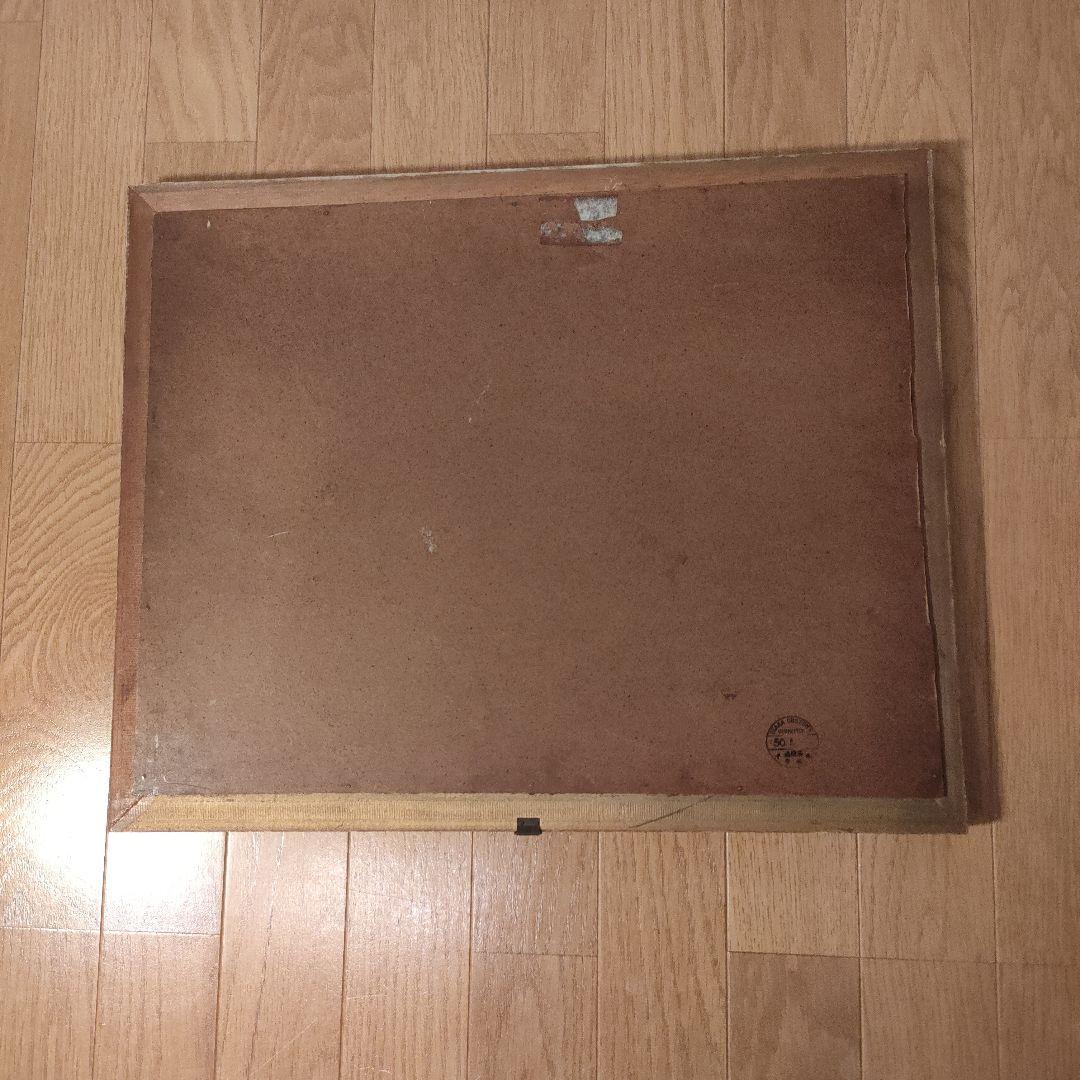 モルフォ蝶 額 蝶 インテリア アート 壁飾り 羽 額サイズ40×50cm